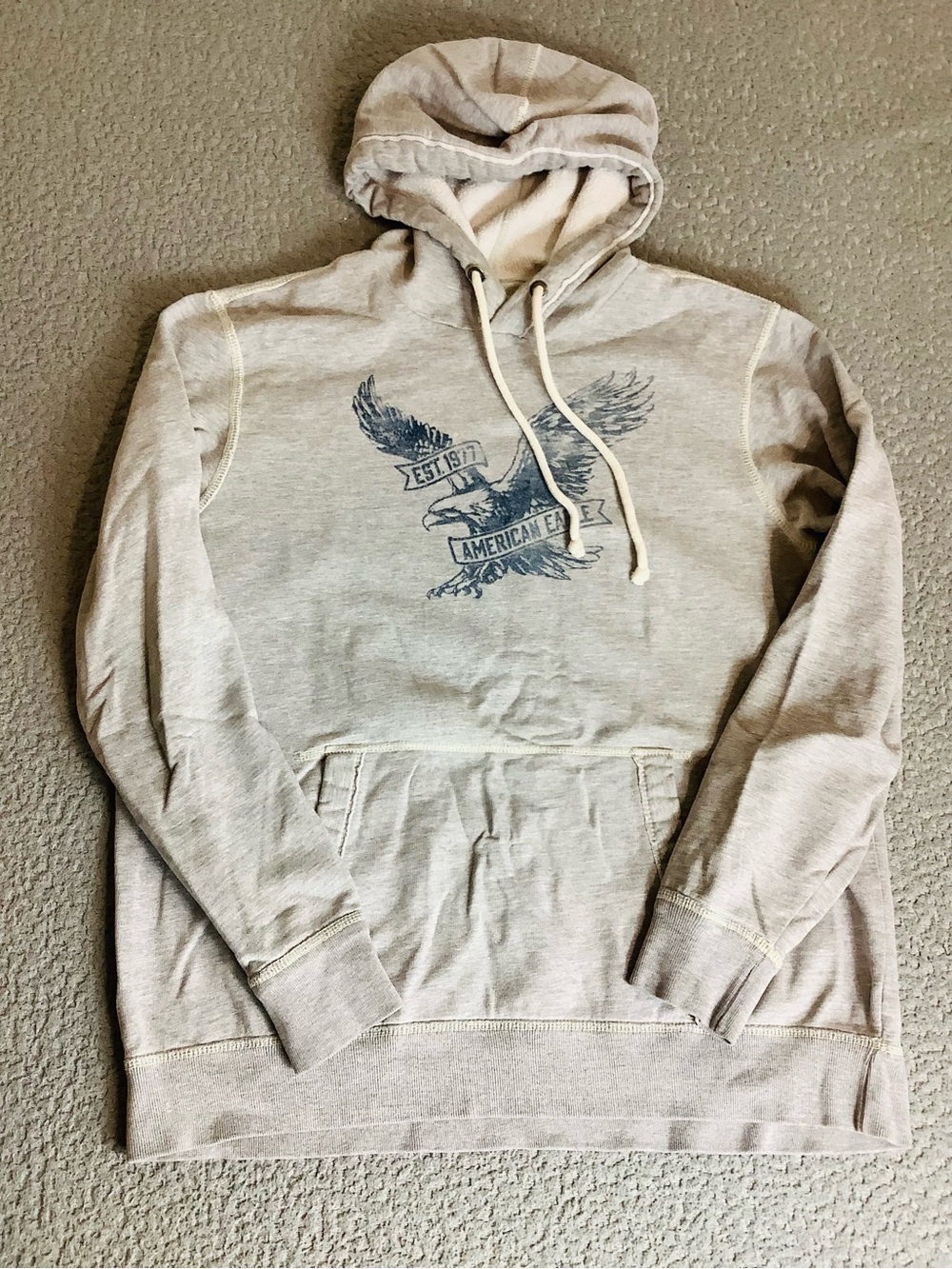 American Eagle Outfitters Beige Hoodie with Navy Graphic